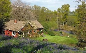 B&B Higher Quantock